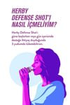 Herby Defense Shot 24 - Pack - Plant - Based Immunity Support Drink - Aladdin Business