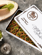 Asi | Bird's Eye Pistachio Kadayif in Gift Metal Box - Aladdin Business