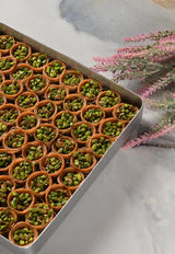 Asi | Bird's Eye Pistachio Kadayif Tray - Aladdin Business