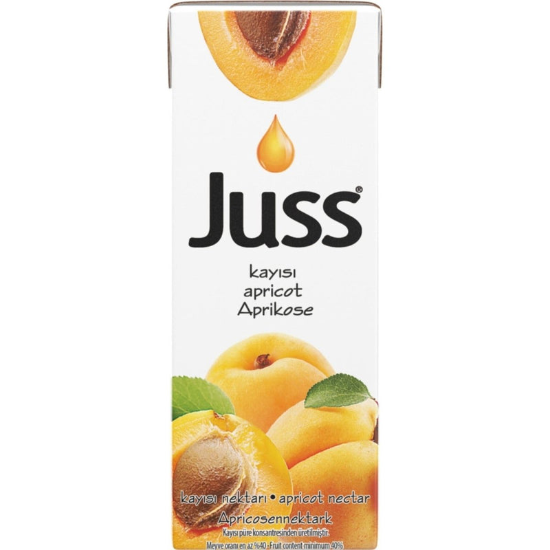 BESLER Juss Apricot Nectar Juice 200ml (27 - Pack) - Aladdin Business