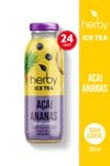 Herb Acai Pineapple Iced Tea, Sugar - Free - 24x250ml Case - Aladdin Business