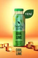 Herb Cool Lime Sugar - Free Iced Tea 12 - Pack | Refreshing 250ml Bottles - Aladdin Business