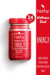 Herb Ginseng Energy Shot 24 - Pack | Natural Herbal Vitality Drink 60ml - Aladdin Business