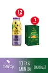 Herb Sugar - Free Acai Pineapple Iced Tea 12 - Pack & Mango Green Tea Duo - Aladdin Business