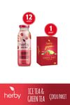 Herb Wellness Drink Variety Pack: Sugar - Free Berry Hibiscus Iced Tea (12 - Pack) & Strawberry Lime Green Tea - Aladdin Business