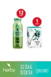 Herb Wellness Duo: Sugar - Free Cool Lime Iced Tea (12 - Pack) & Detox Tea - Aladdin Business