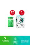 Herb Wellness Matcha Shot & Detox Tea Combo Pack - 12 Shots + Herbal Support - Aladdin Business