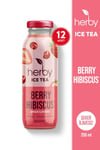 Herby Berry Hibiscus Iced Tea - Refreshing 12 - Pack (250ml Each) - Aladdin Business