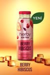 Herby Berry Hibiscus Iced Tea - Refreshing 12 - Pack (250ml Each) - Aladdin Business