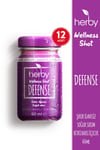 Herby Defense Ginger Shot 12 - Pack | Plant - Based Immunity Boost Drink | 60ml Wellness Shots - Aladdin Business