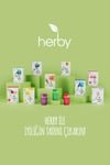 Herby Defense Shot 24 - Pack - Plant - Based Immunity Support Drink - Aladdin Business