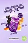 Herby Defense Shot 24 - Pack - Plant - Based Immunity Support Drink - Aladdin Business