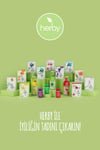 Herby Diet Support Detox Herbal Tea Blend – 2 - Pack Wellness Formula - Aladdin Business