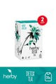 Herby Diet Support Detox Herbal Tea Blend – 2 - Pack Wellness Formula - Aladdin Business