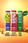 Herby Premium Iced Tea Variety Pack - 12 Refreshing Flavors - Aladdin Business