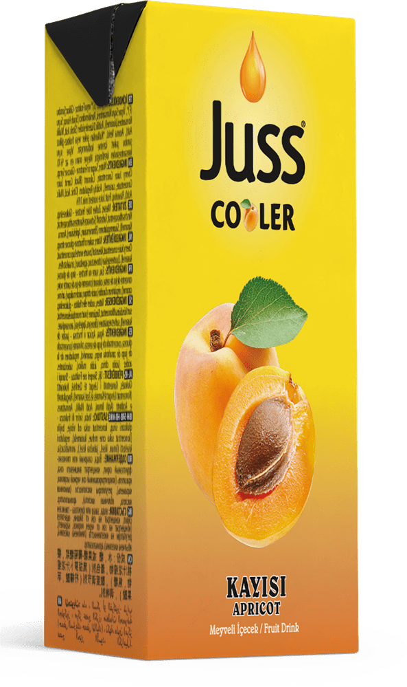 Juss Cooler Apricot Juice Drink 200ml - 27 Count Refreshing Pack - Aladdin Business