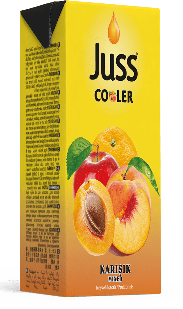 Juss Mixed Fruit Juice Drink, 200ml 27 - Pack - Refreshing Beverage - Aladdin Business